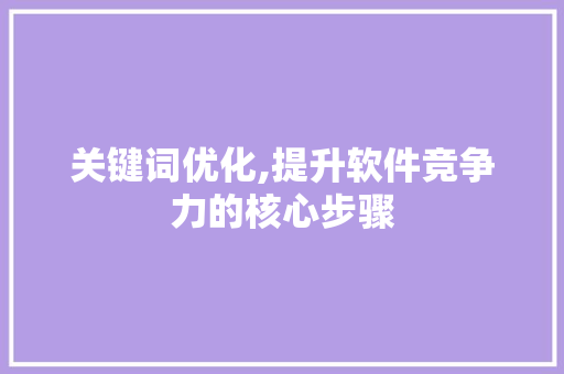 关键词优化,提升软件竞争力的核心步骤