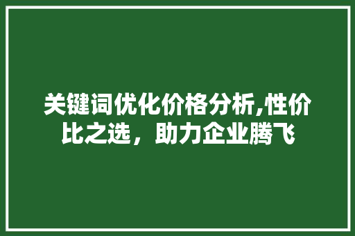 关键词优化价格分析,性价比之选，助力企业腾飞